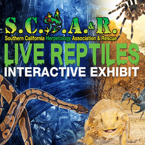 S.C.H.A.&R. Live Interactive Reptile Exhibit